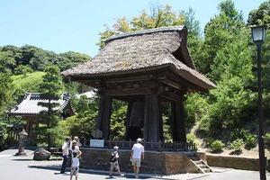 IMG_6452