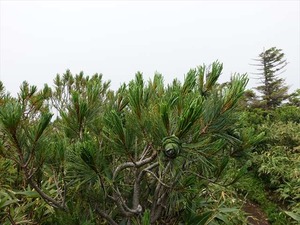 DSC06444_R