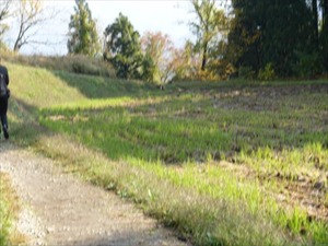 DSC01251_R