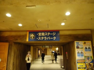 DSC02579_R