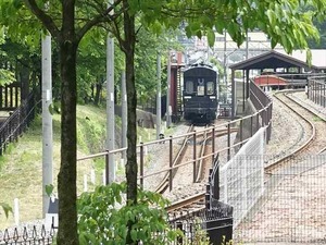DSC08087_R