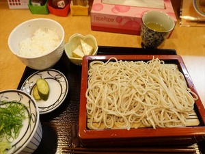 DSC03866_R