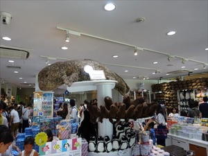 DSC07825_R