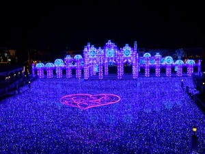 DSC02590_R