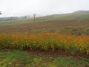 DSC07216_R