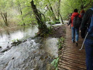 DSC00778_R
