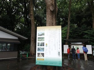 DSC02408_R