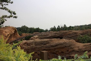 IMG_0896