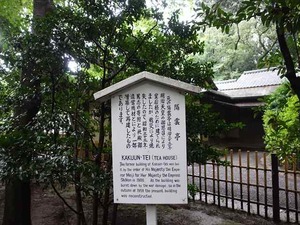 DSC02429_R