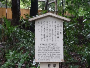 DSC02454_R