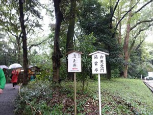 DSC02422_R