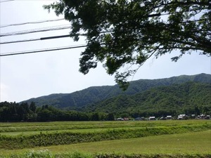 DSC05435_R