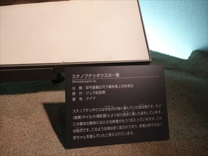 DSC05096_R