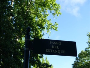 DSC04406_R