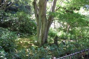 IMG_6413