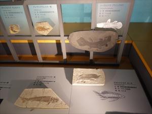 DSC05081_R