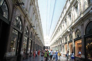 IMG_6556