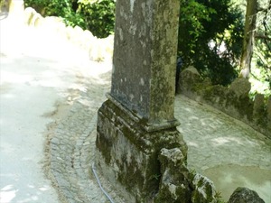 DSC06896_R