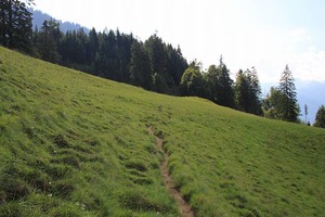 IMG_5575