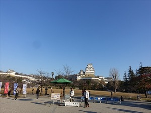 DSC01185_R