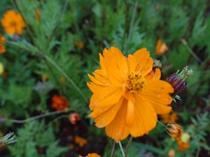 DSC07217_R