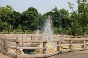 IMG_0891