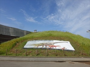 DSC04948_R