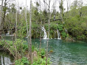 DSC00800_R