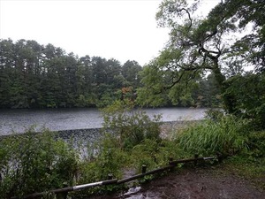 DSC08686_R