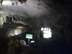DSC09535_R