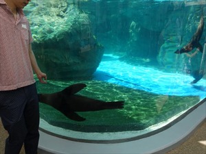 DSC07794_R