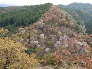 DSC08924_R