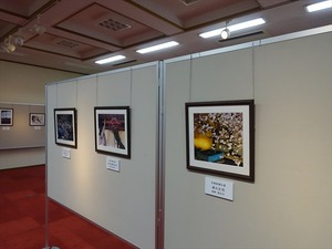 DSC05275_R