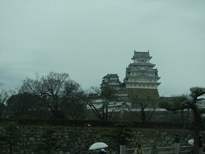 DSC08793_R