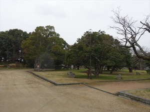 DSC08829_R