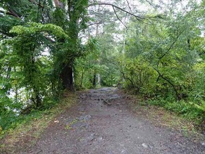 DSC08684_R