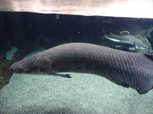DSC05603_R