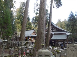 DSC02069_R