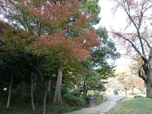 DSC05106_R