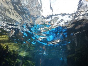 DSC07797_R