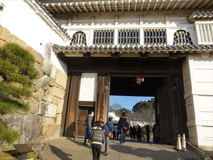 DSC01195_R