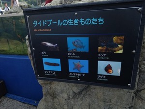 DSC05663_R