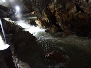 DSC09544_R