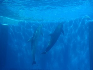 DSC05624_R