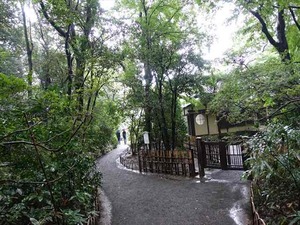 DSC02427_R