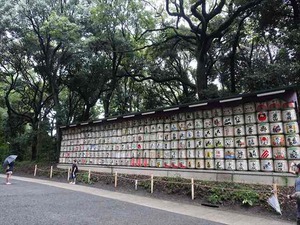 DSC02418_R