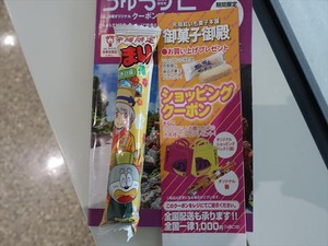 DSC07349_R