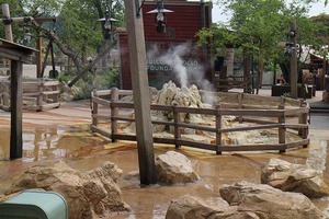 IMG_0884