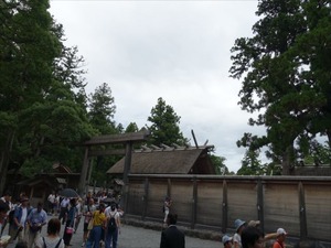 DSC07335_R