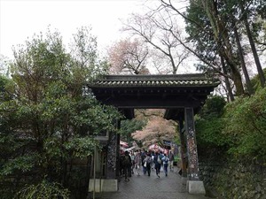 DSC08931_R